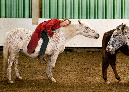 proben_zu_heinrich-v_2007%20(14)